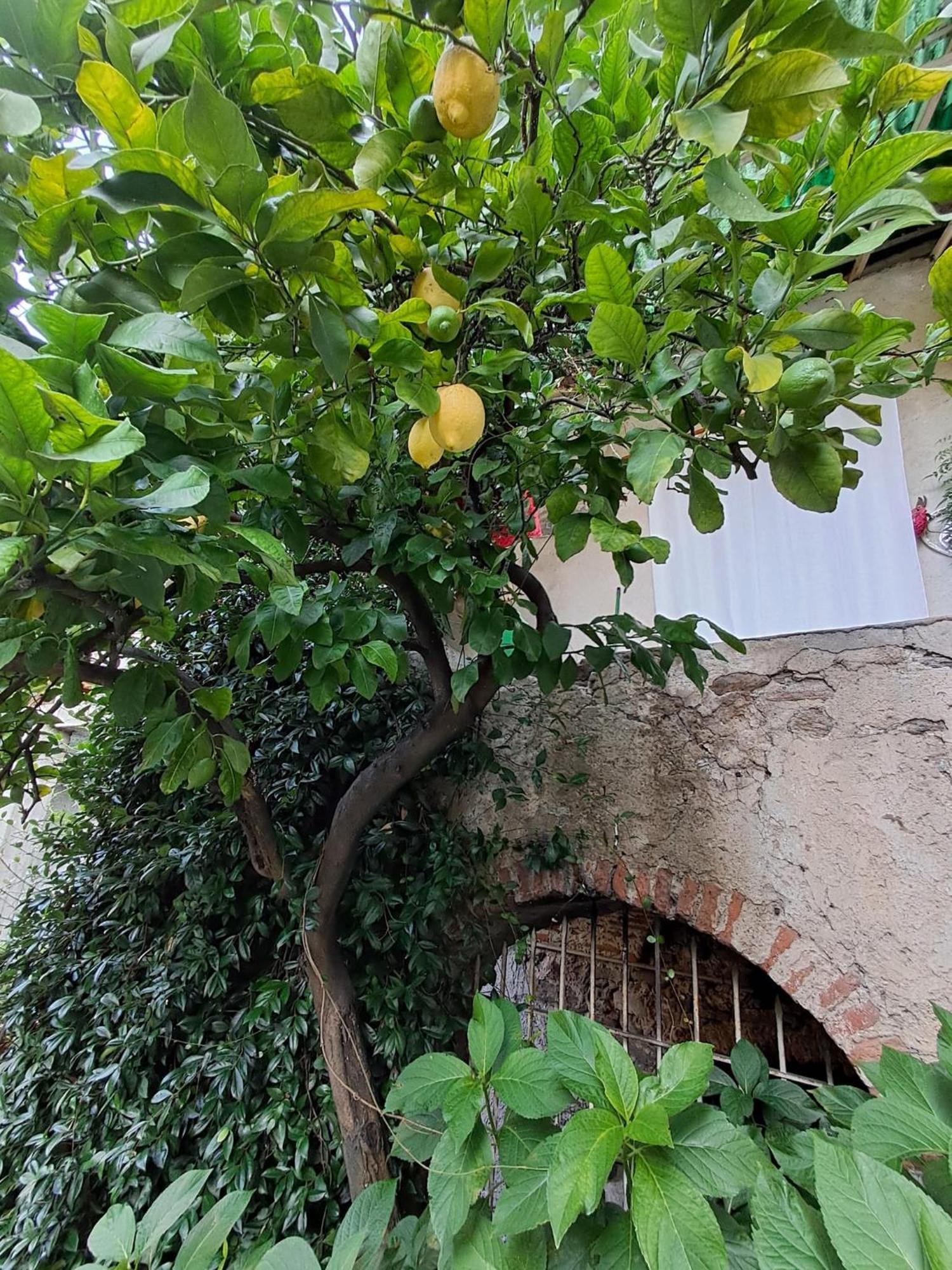 Nonna Anita Bed & Breakfast Castelveccana Екстериор снимка