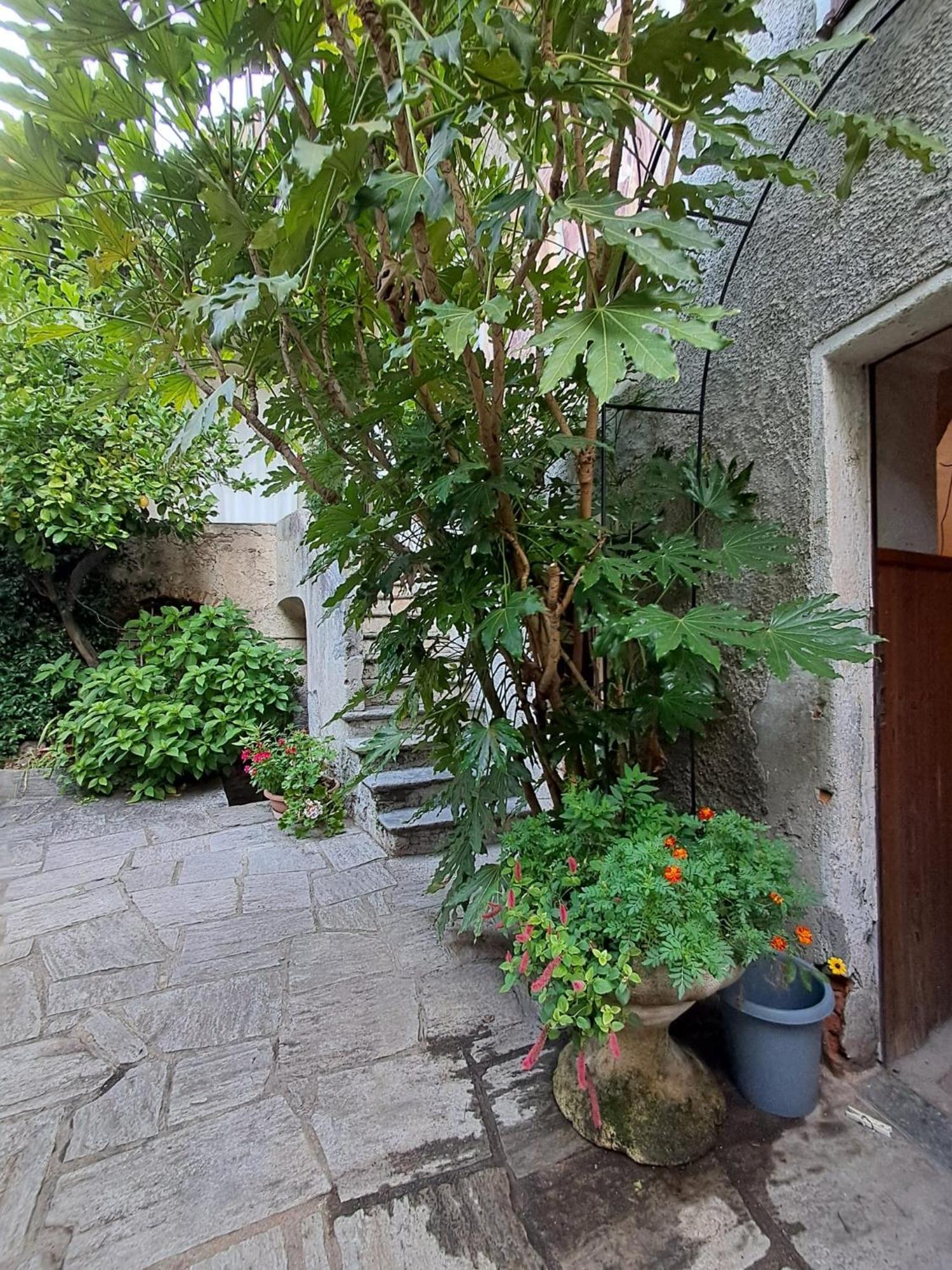 Nonna Anita Bed & Breakfast Castelveccana Екстериор снимка