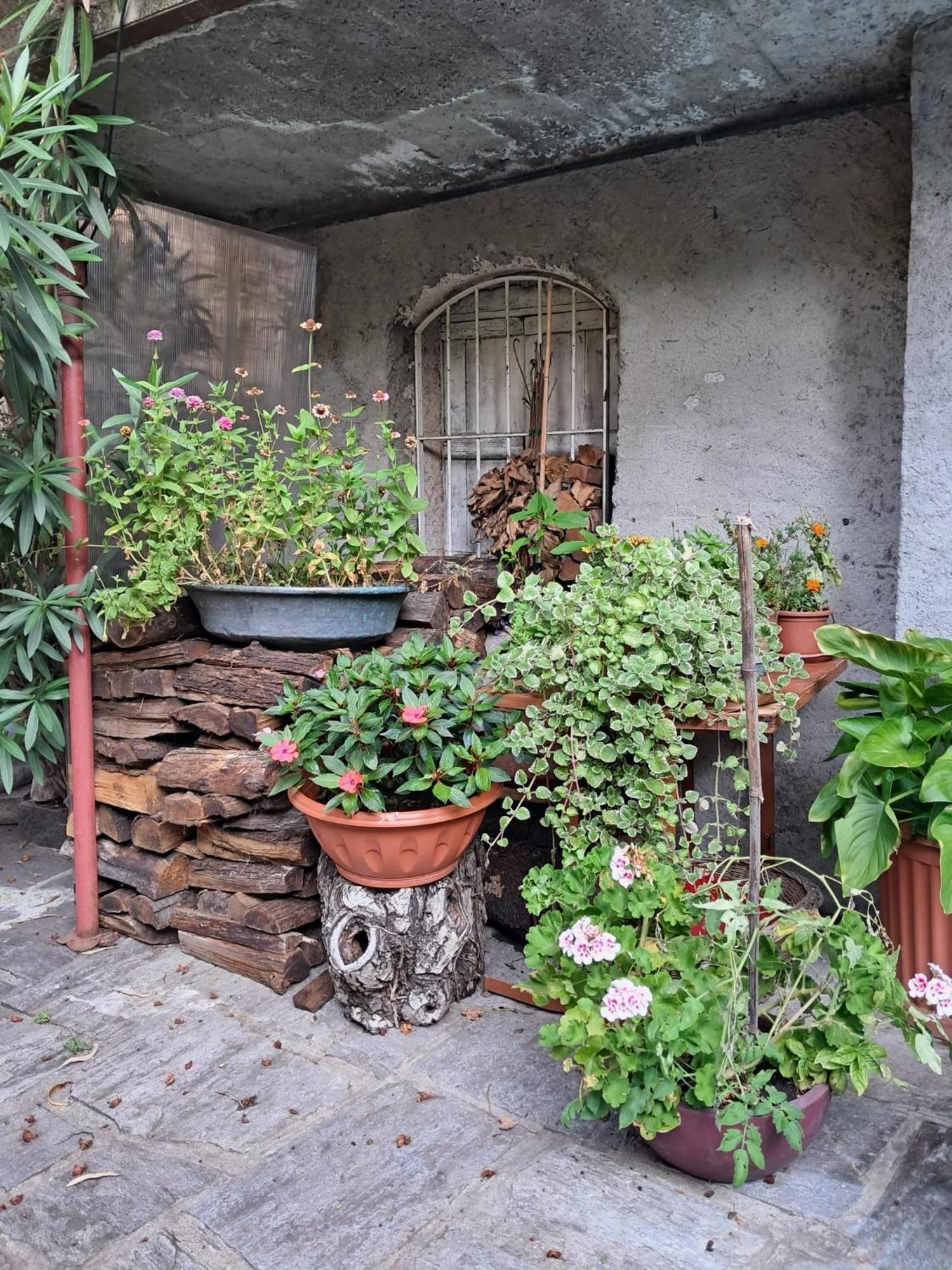 Nonna Anita Bed & Breakfast Castelveccana Екстериор снимка
